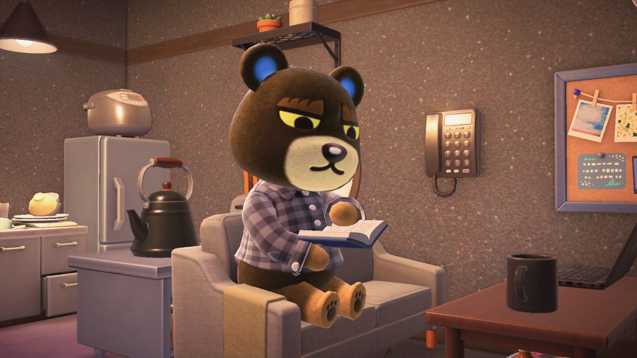 Grizzly reading a book on the couch.